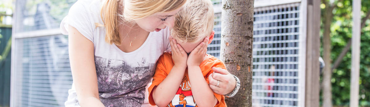 MINIBONZ-2014-0873