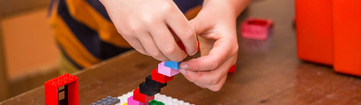 MINIBONZ-2014-0910